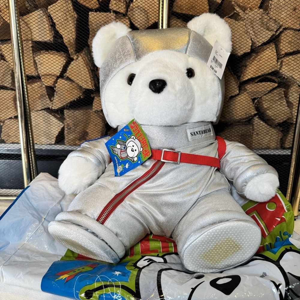 Hudsons‎ Santa Bear 2001 Astronaut Mission Planet Christmas SB2001 Silver